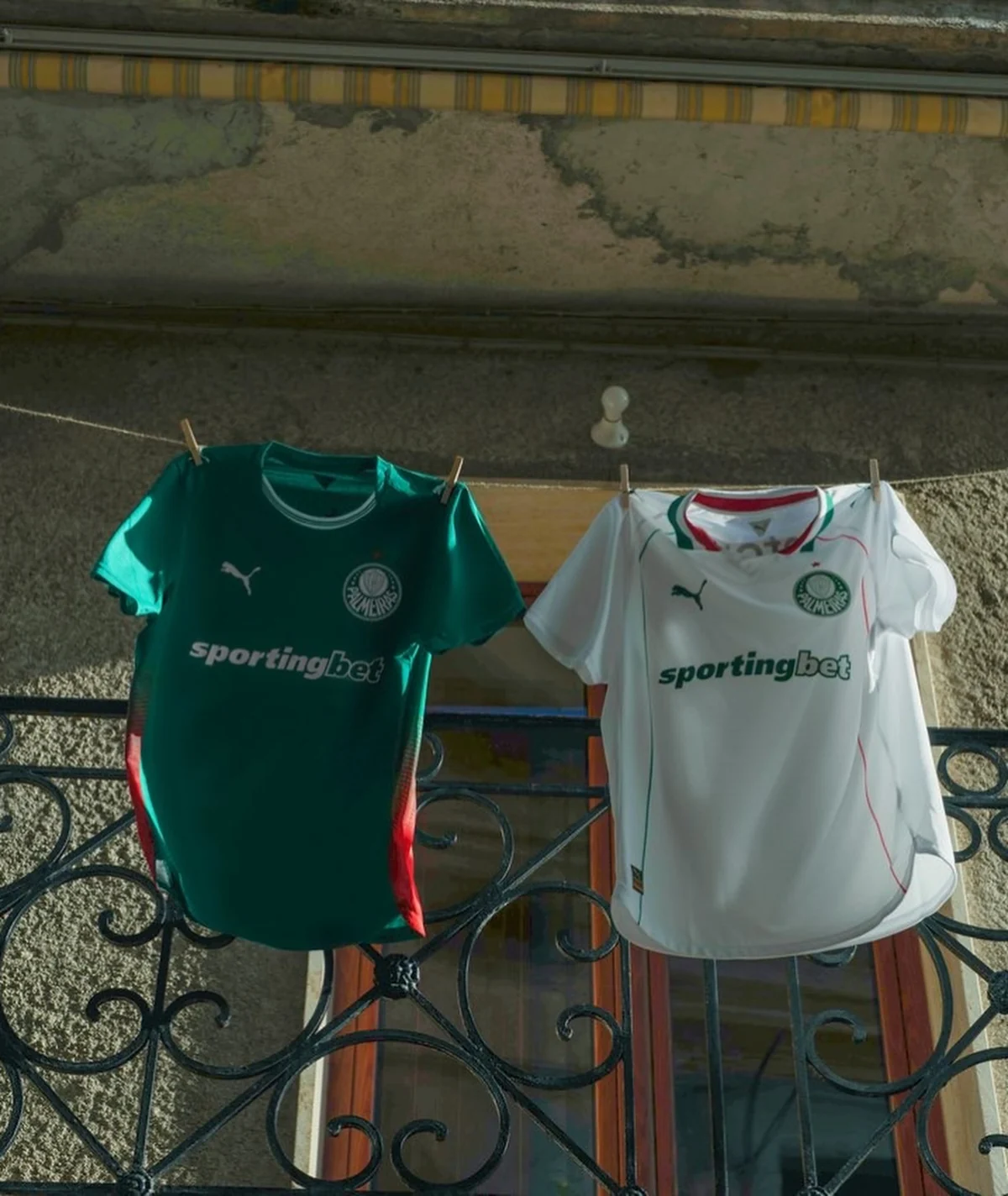 Campanha Palmeiras