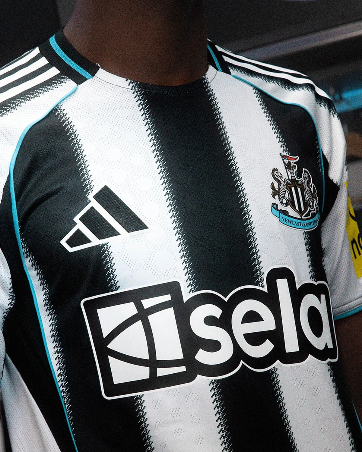 Campanha Newcastle United