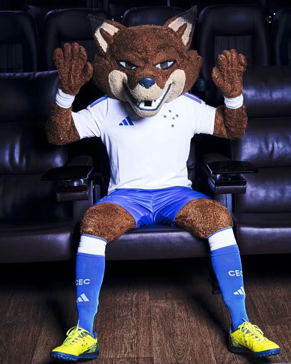 Campanha Cruzeiro