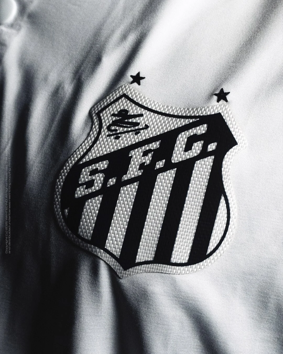 Campanha Santos