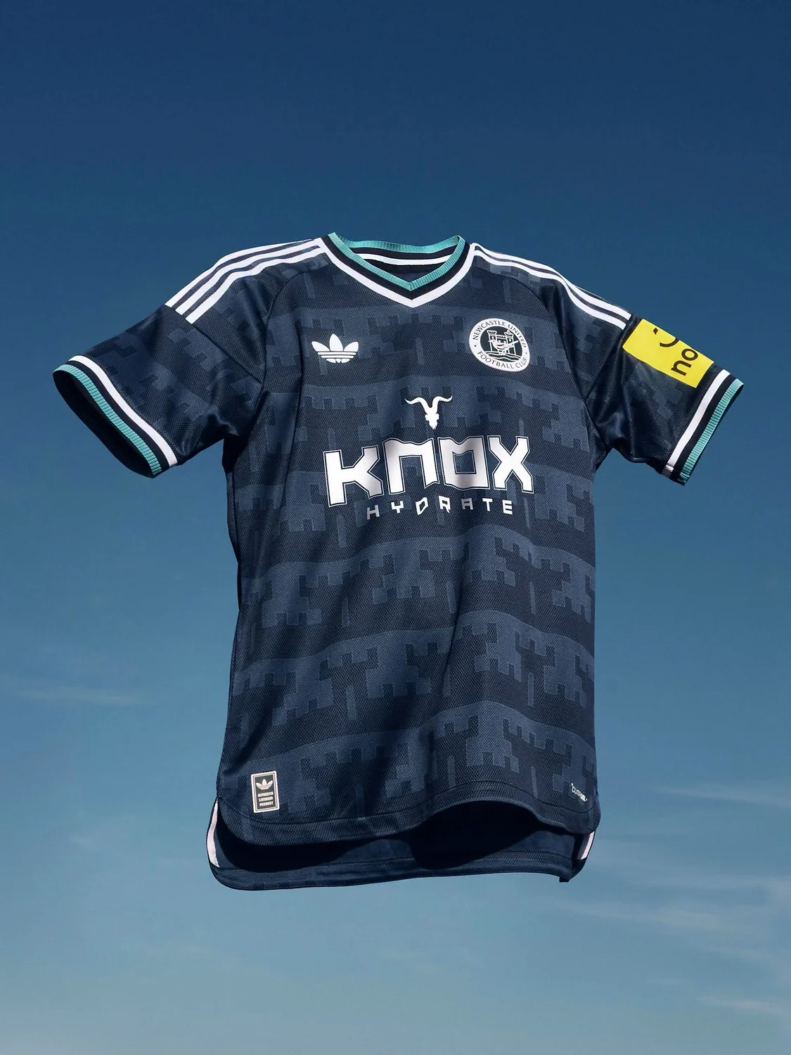 Campanha Newcastle United