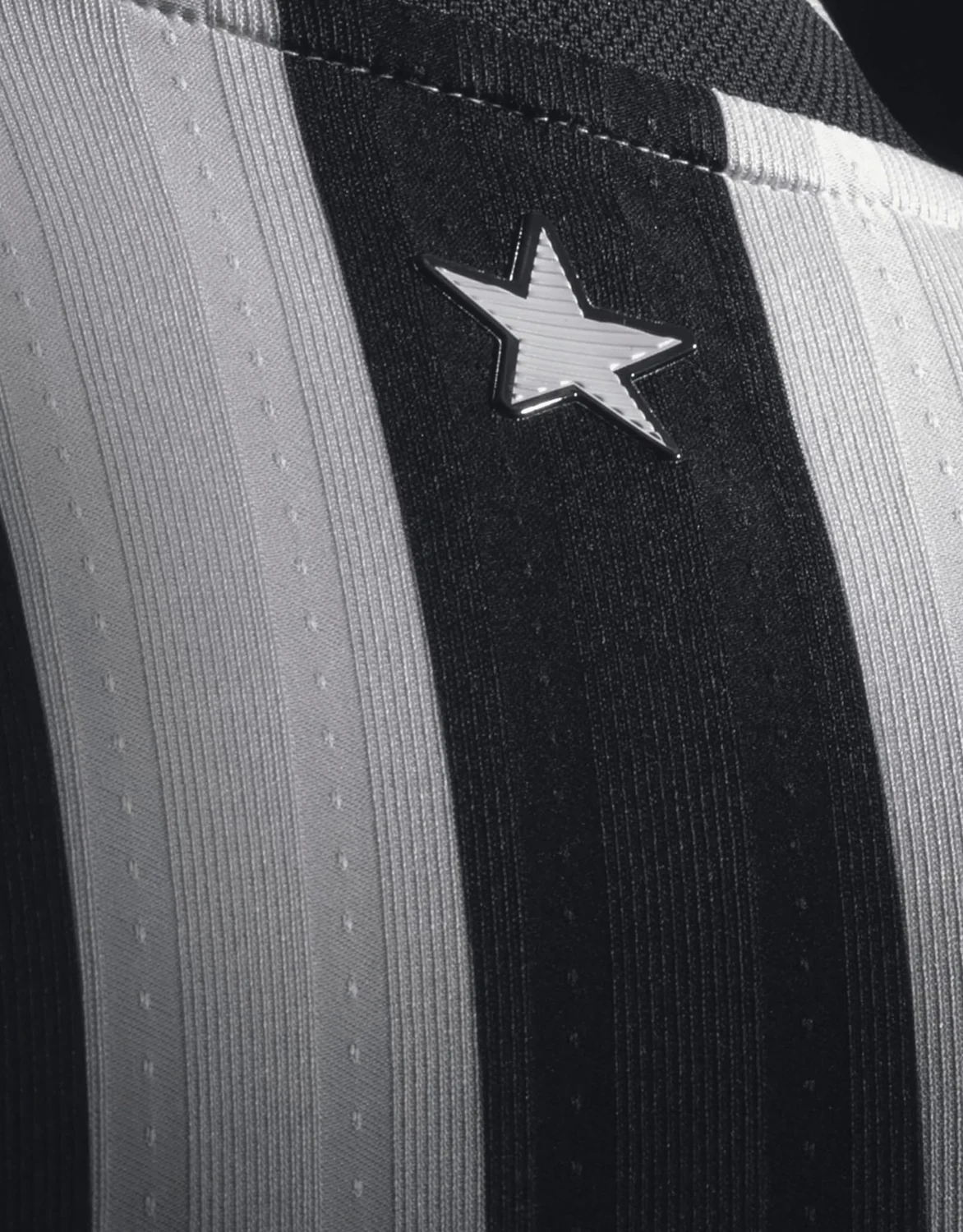 Campanha Botafogo