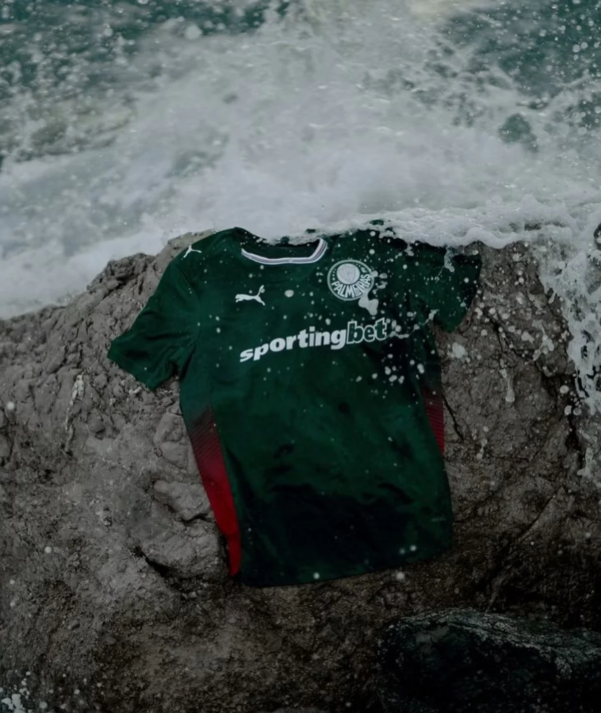 Campanha Palmeiras