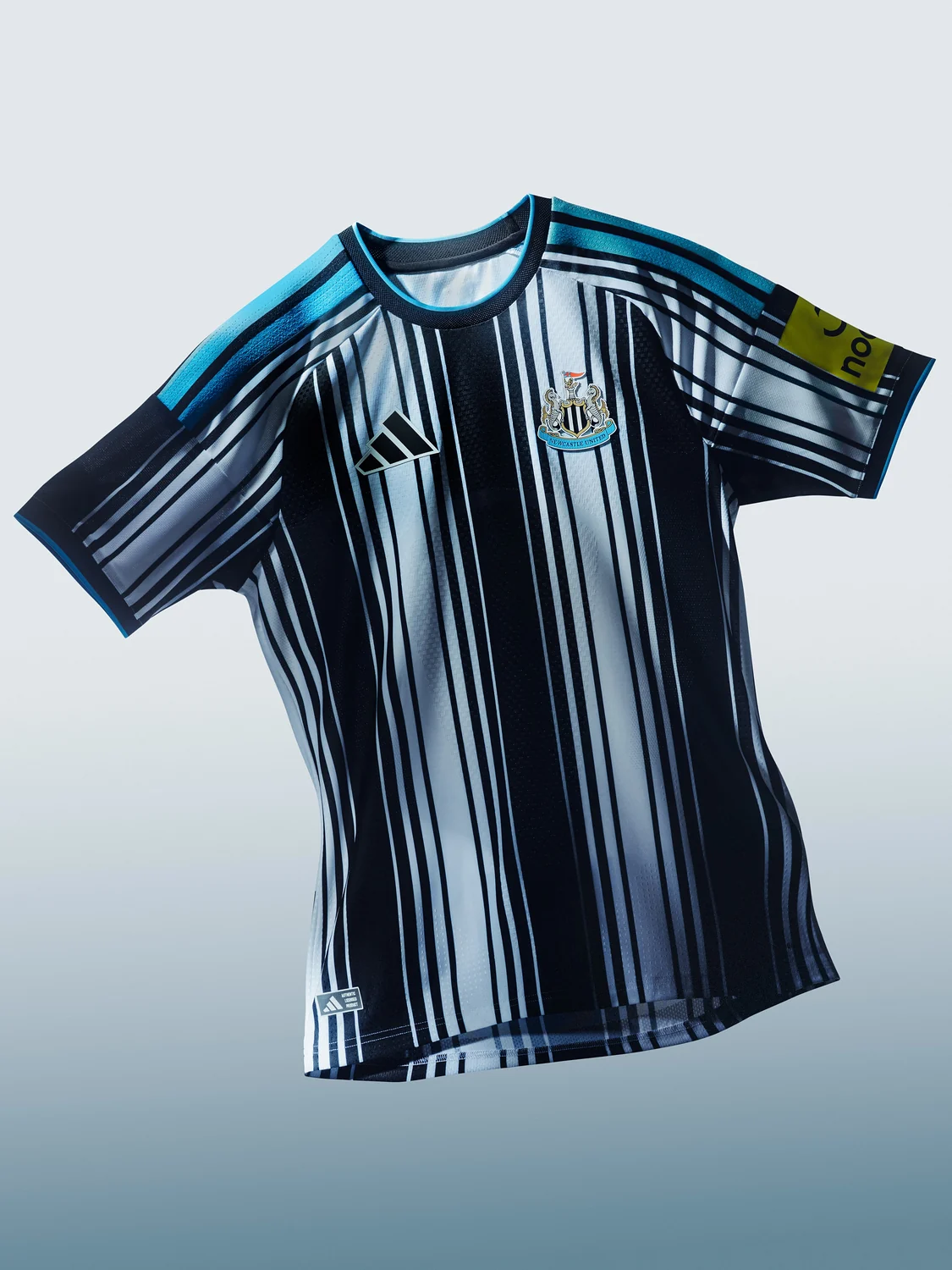 Campanha Newcastle United