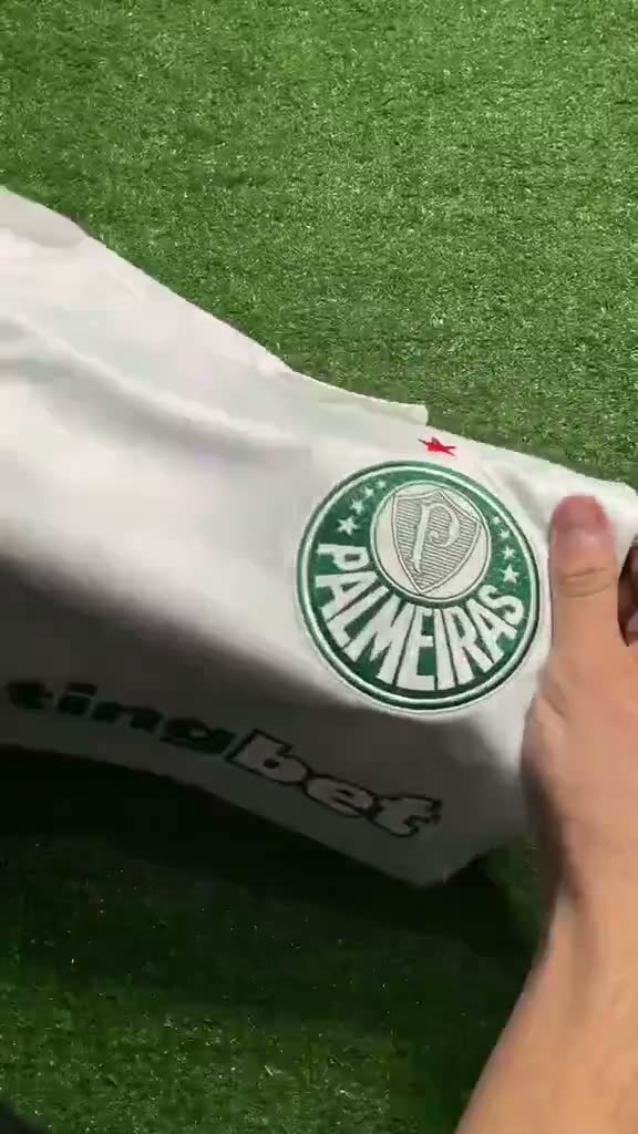 Vídeo Palmeiras