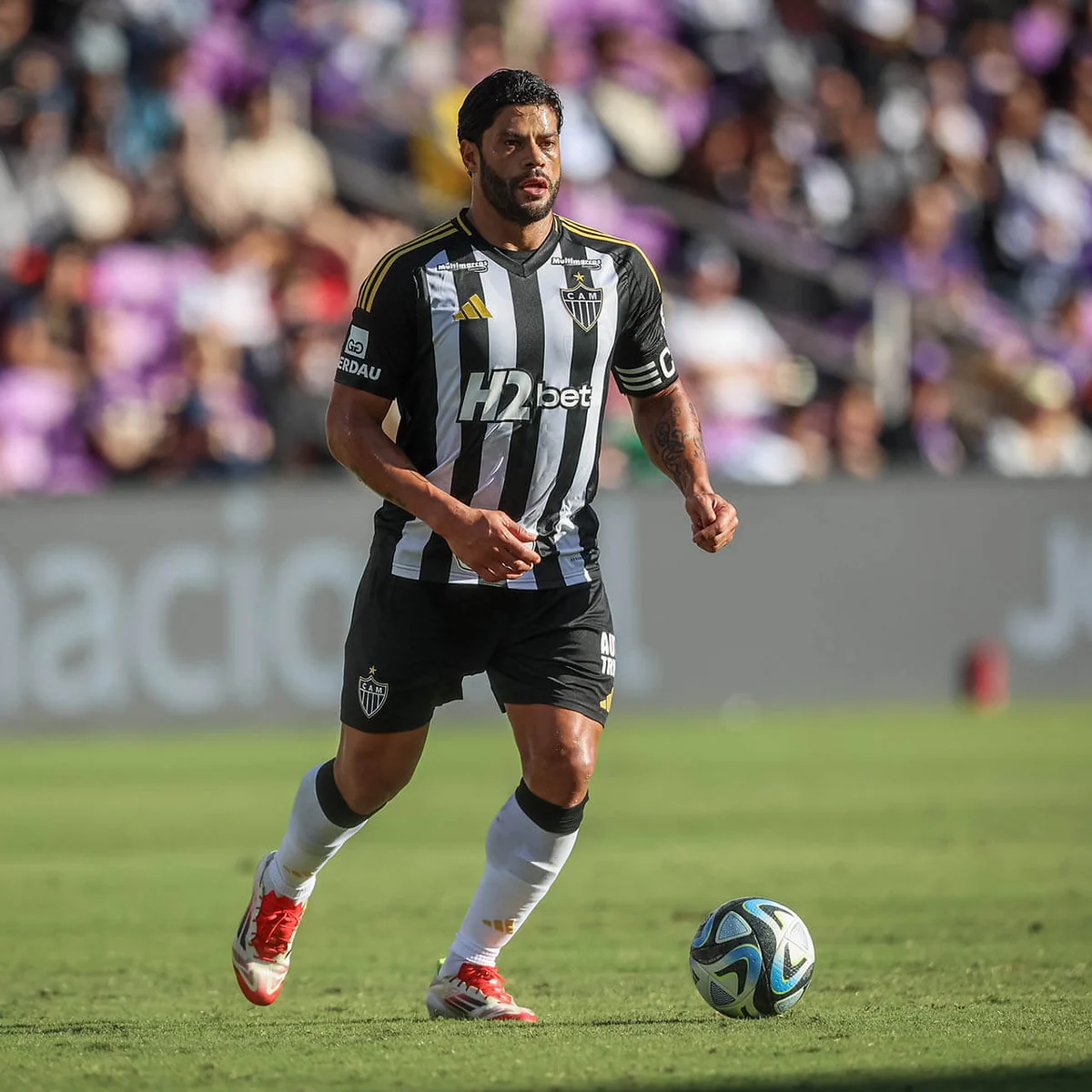 Campanha Atlético Mineiro