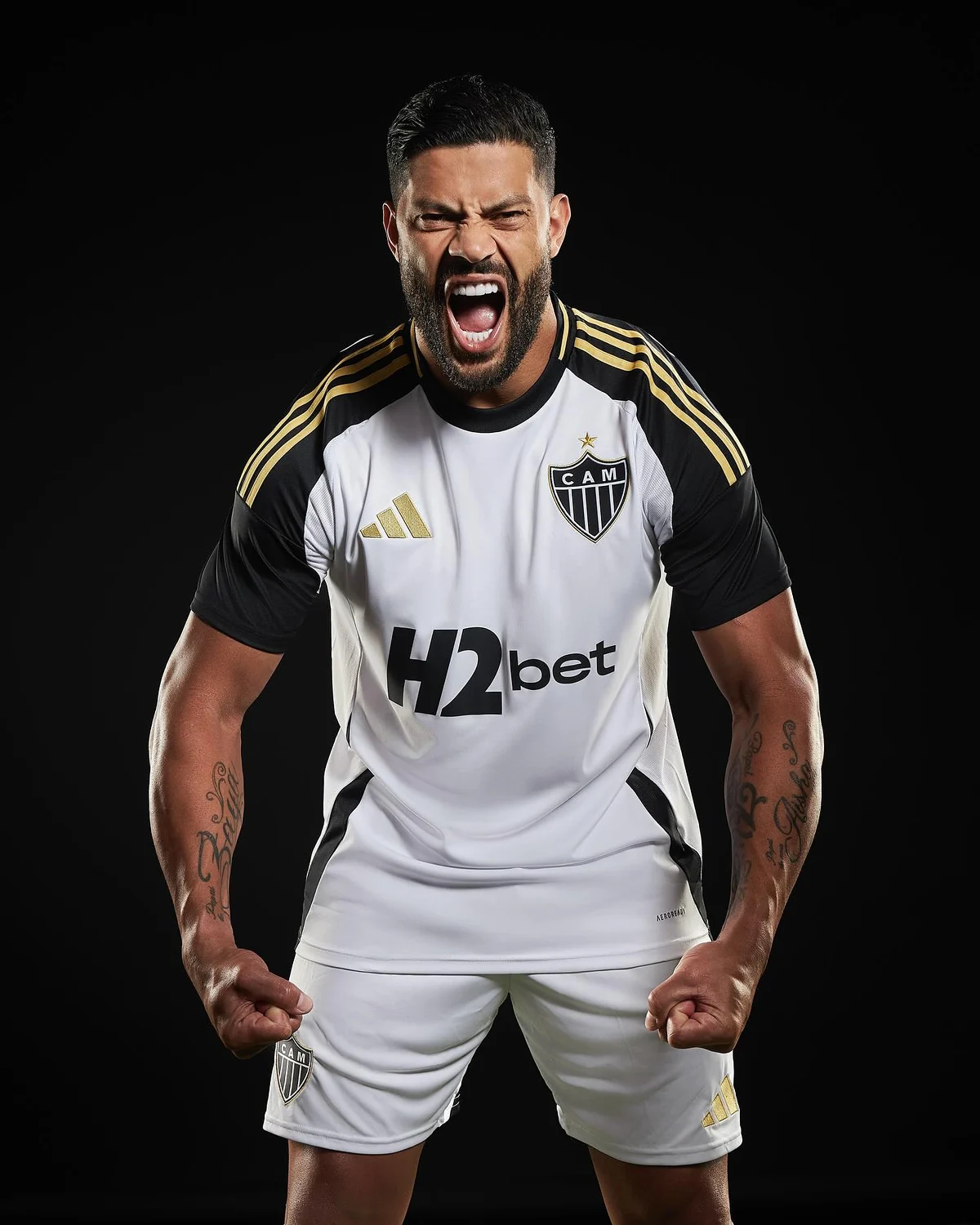 Campanha Atlético Mineiro