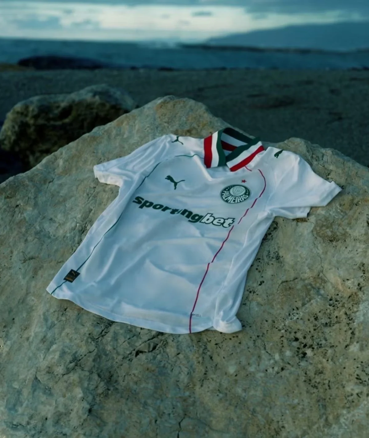 Campanha Palmeiras