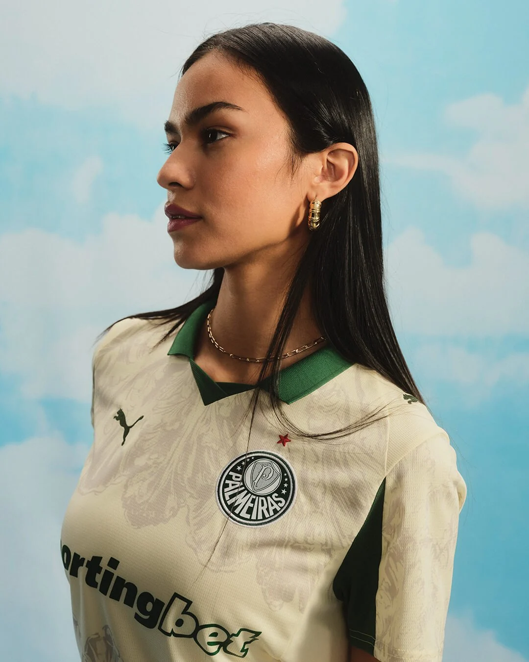 Campanha Palmeiras
