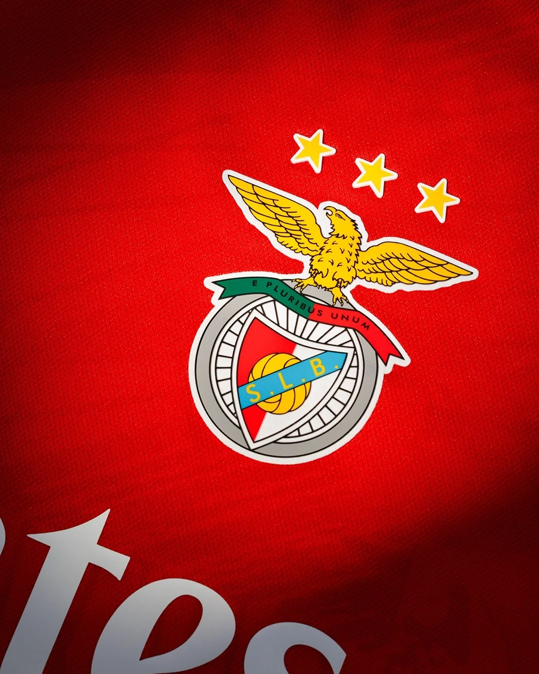 Campanha Benfica