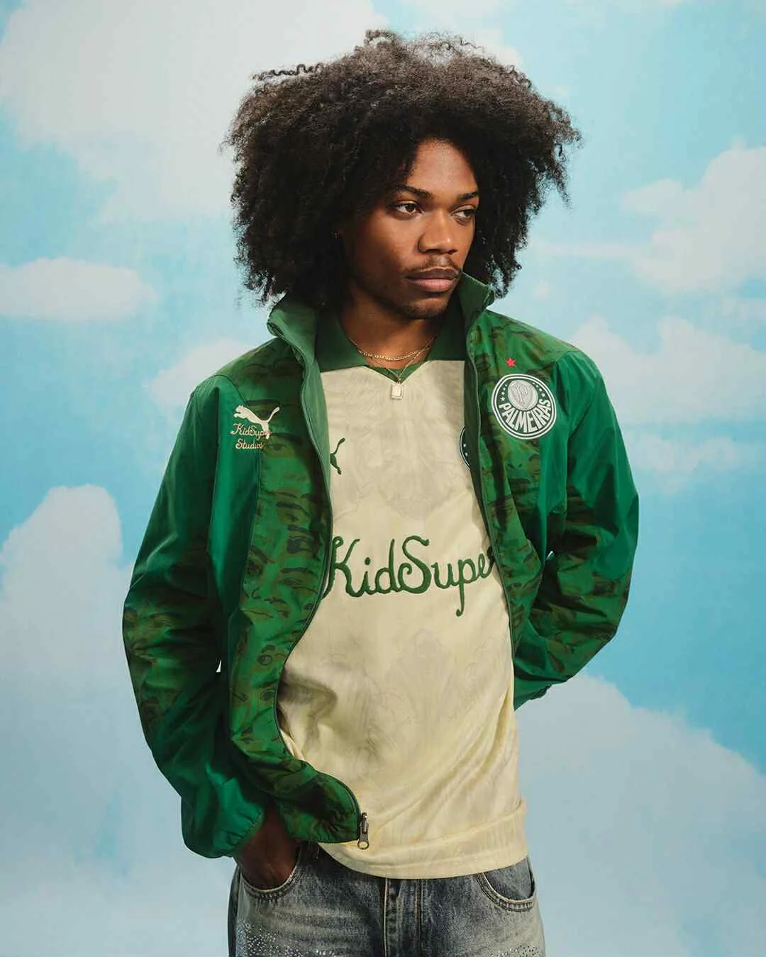 Campanha Palmeiras