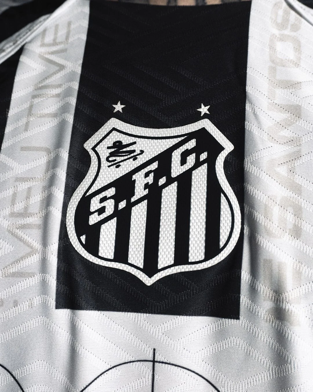 Campanha Santos