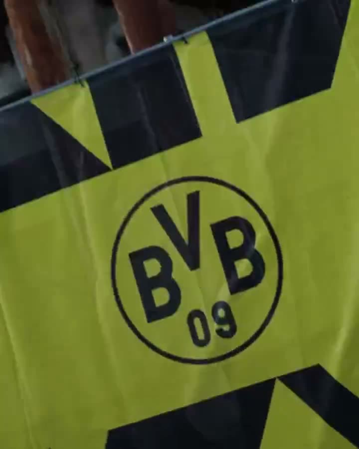 Vídeo Borussia Dortmund