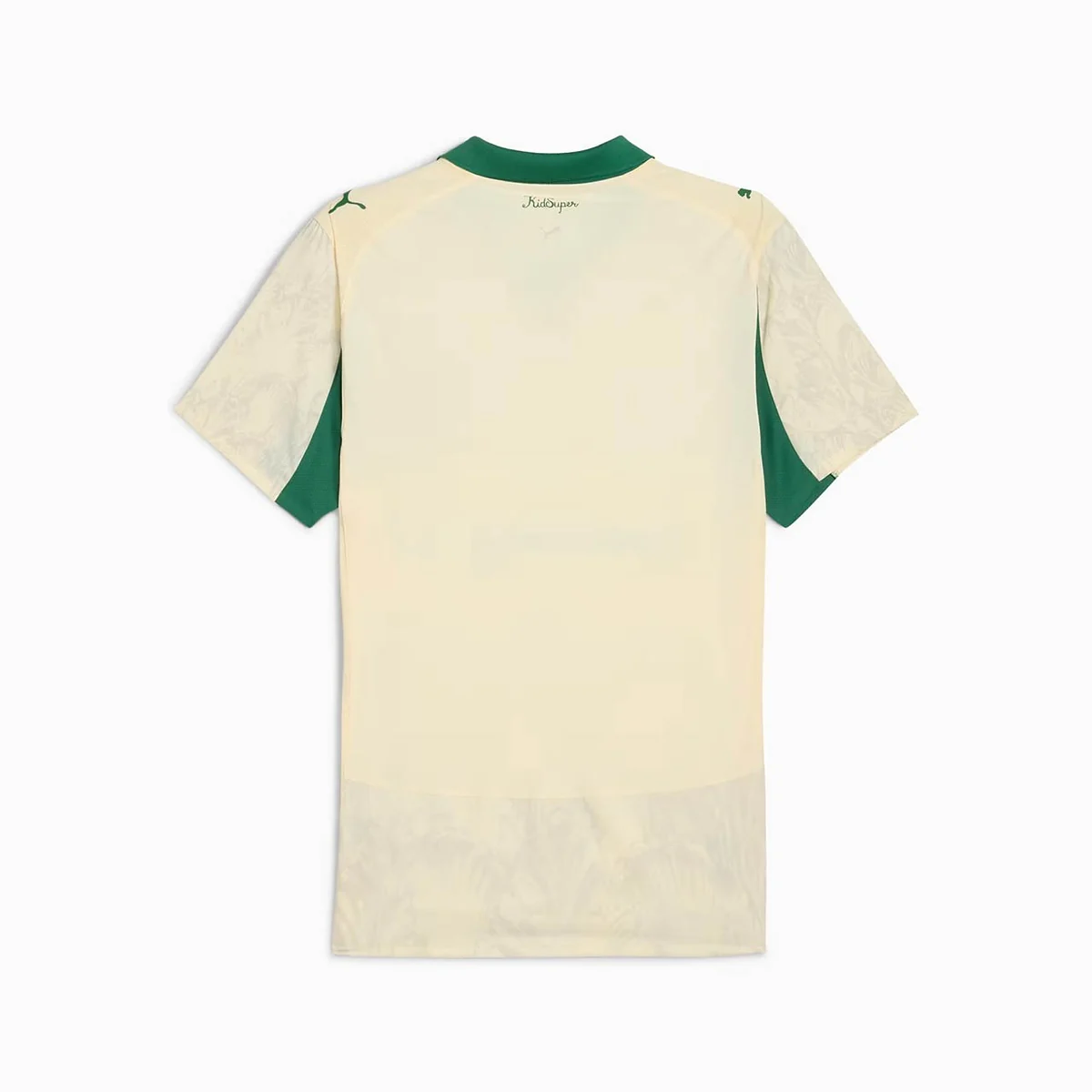 Campanha Palmeiras