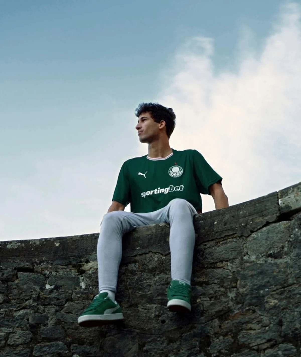 Campanha Palmeiras
