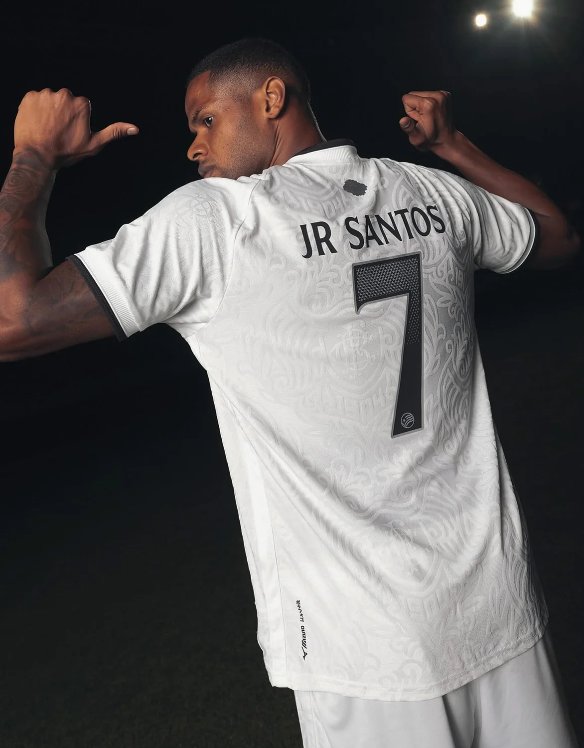 Campanha Botafogo