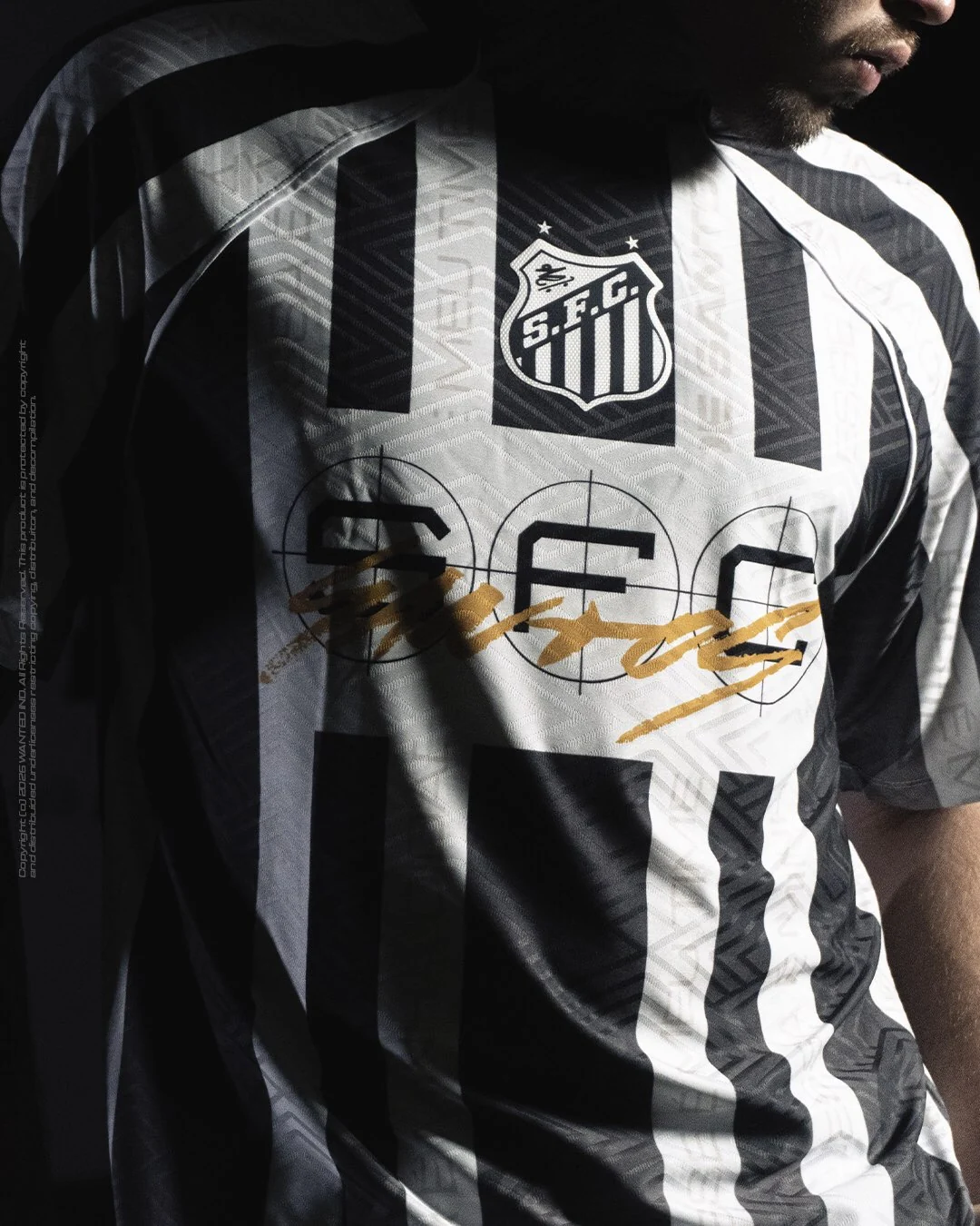 Campanha Santos