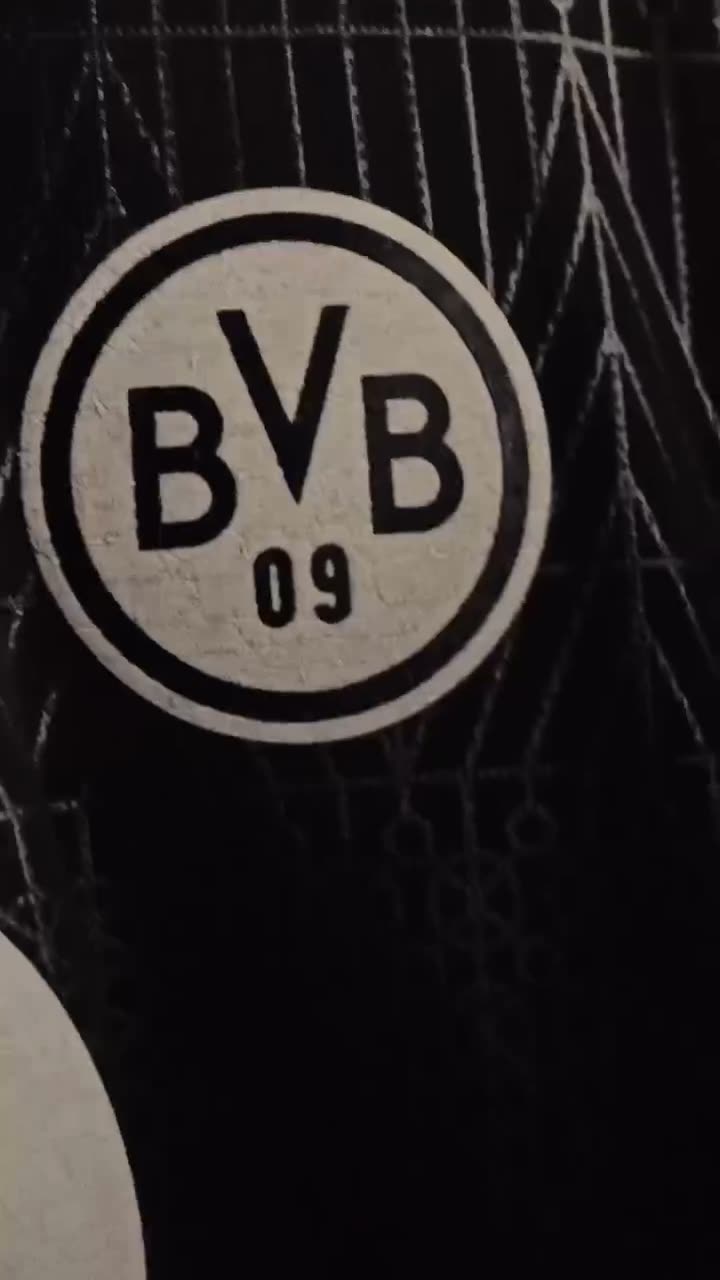 Vídeo Borussia Dortmund