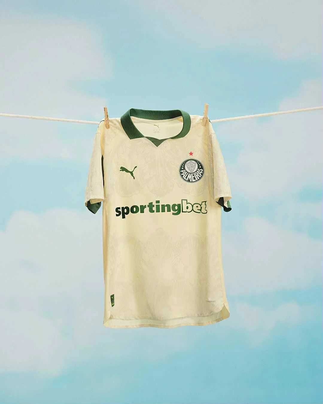 Campanha Palmeiras