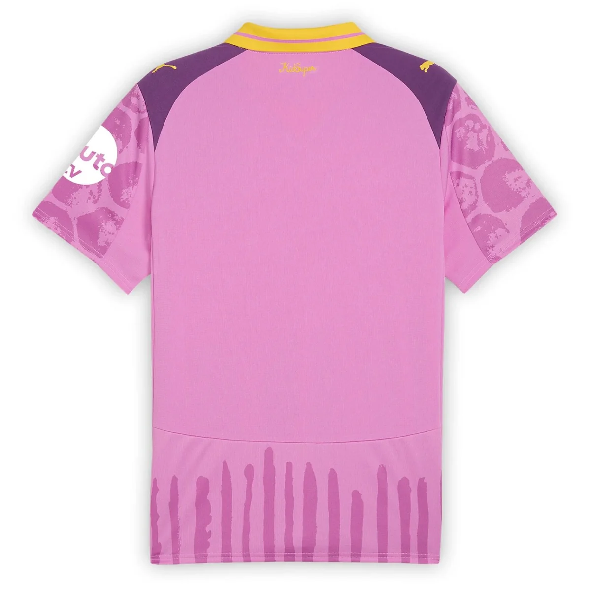 Campanha Borussia Dortmund