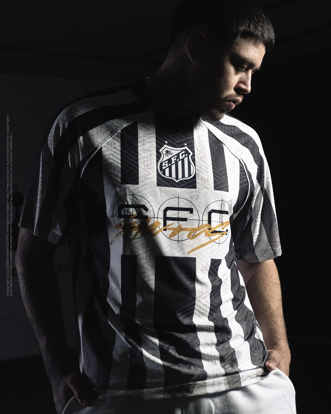 Campanha Santos