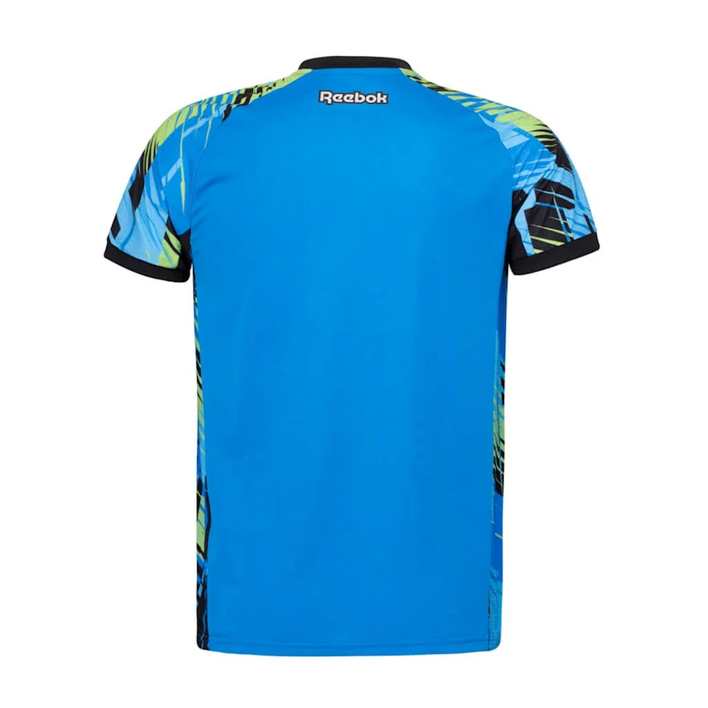 Campanha Botafogo