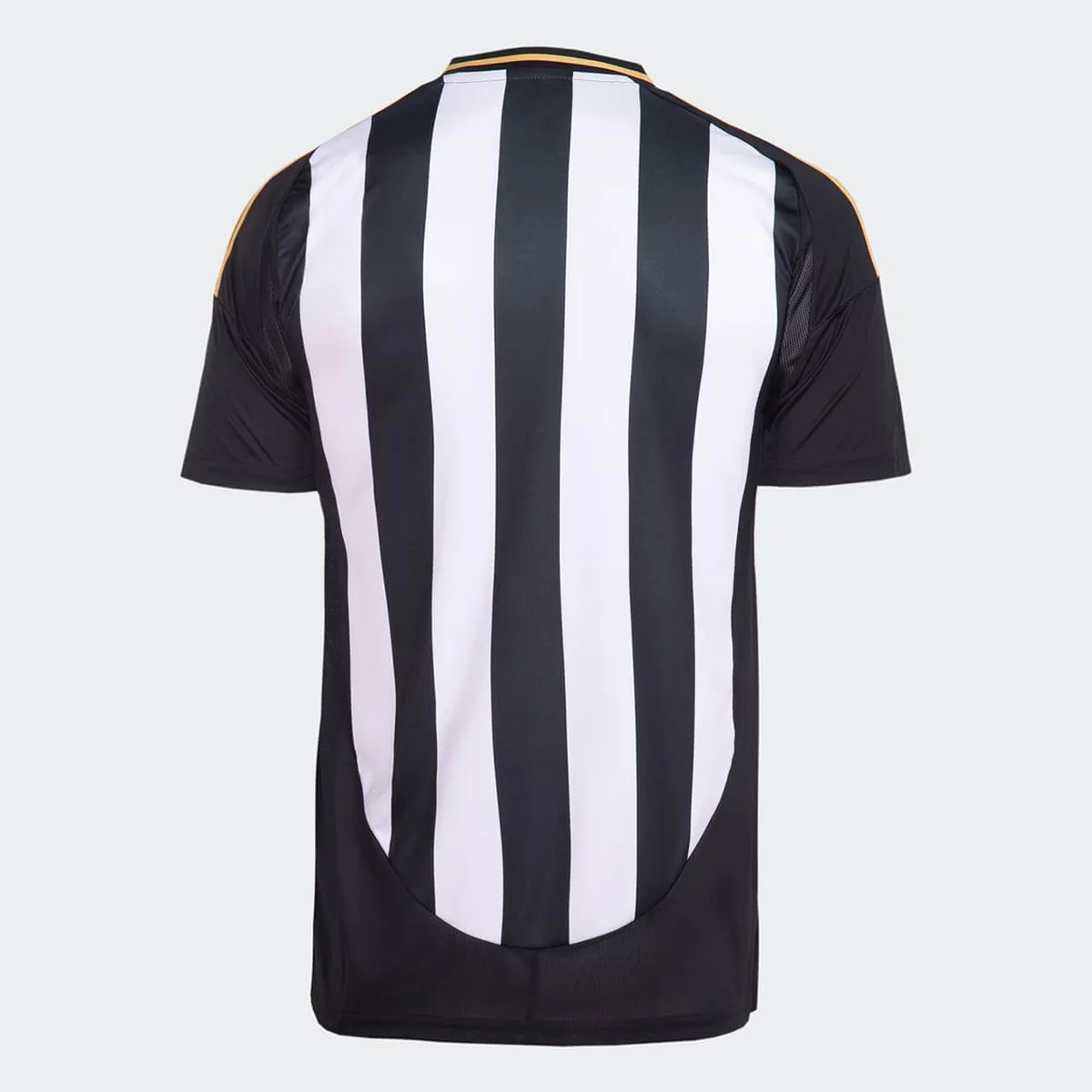 Campanha Atlético Mineiro