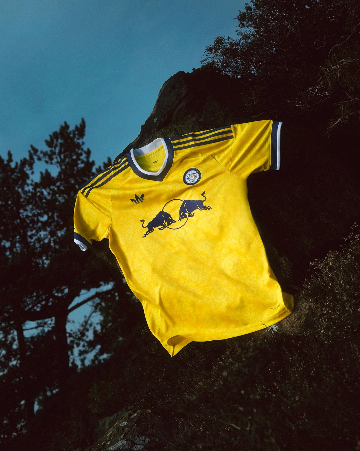 Campanha Leeds United