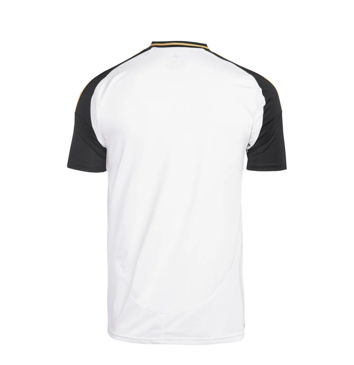 Campanha Atlético Mineiro