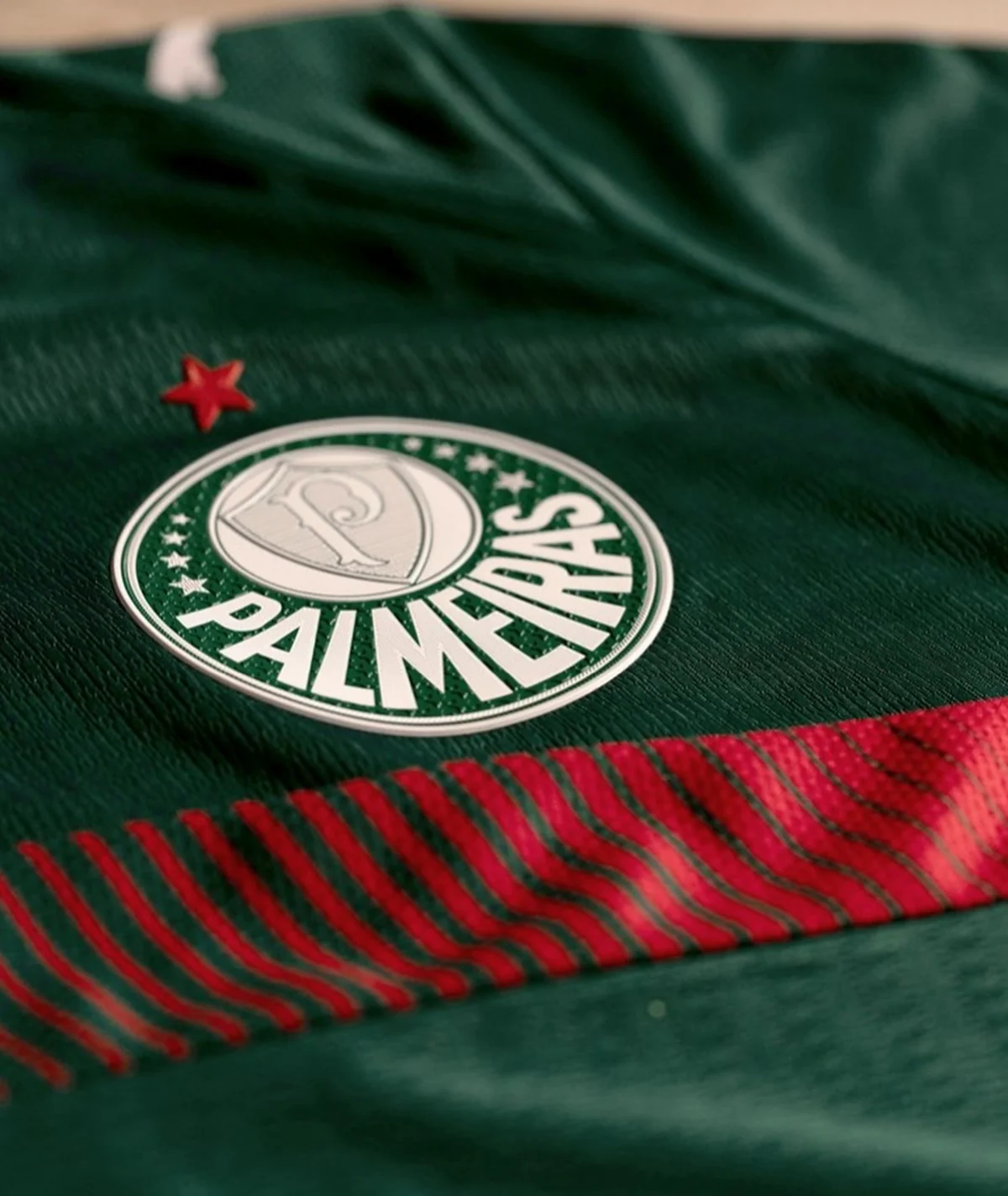 Campanha Palmeiras