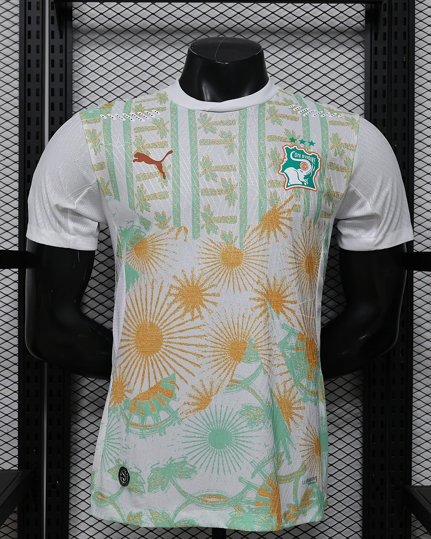 Camisola Costa do Marfim 26/27 Alternativa Versão Jogador