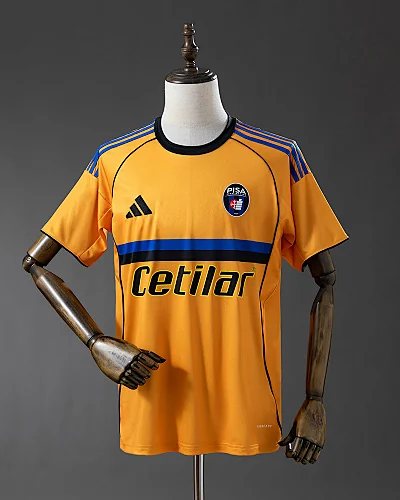 Camisola Pisa 25/26 Alternativa