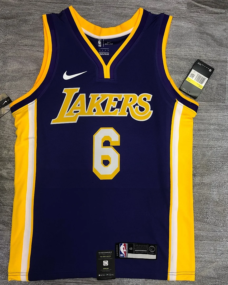 Camisola NBA Los Angeles Lakers LeBron James #6 Roxa