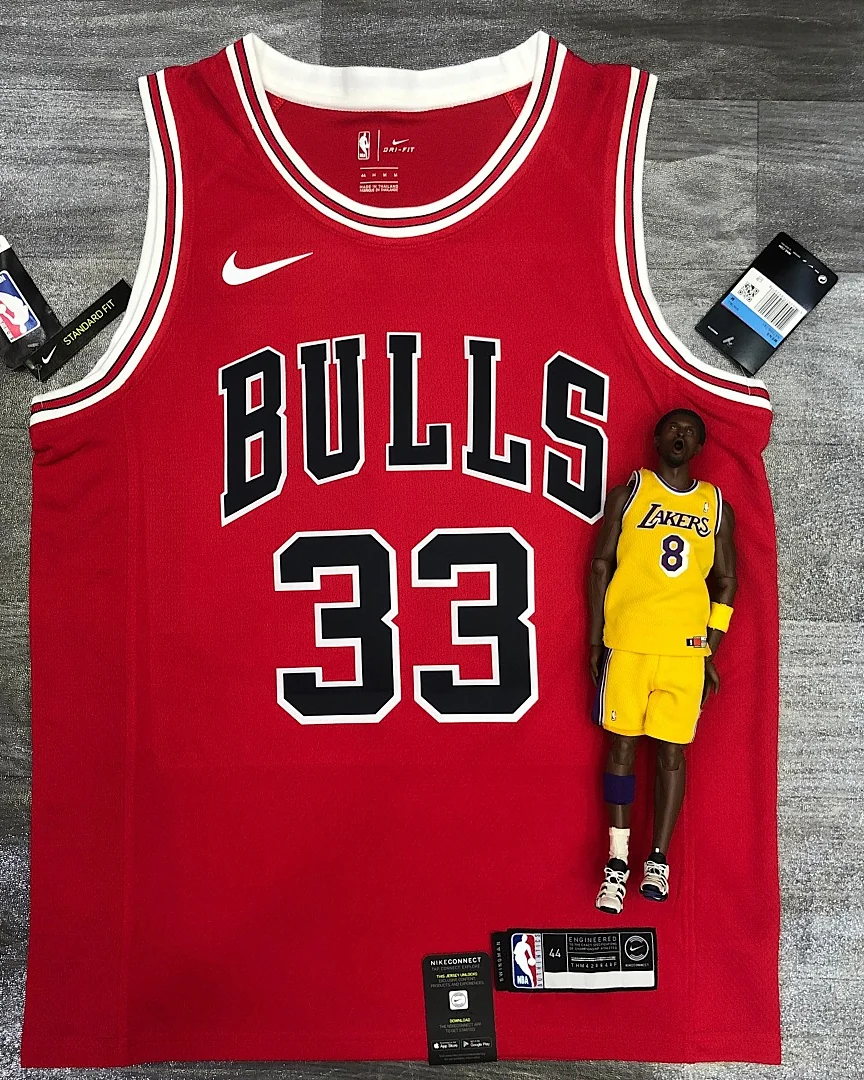 Camisola NBA Chicago Bulls Scottie Pippen #33 Vermelha