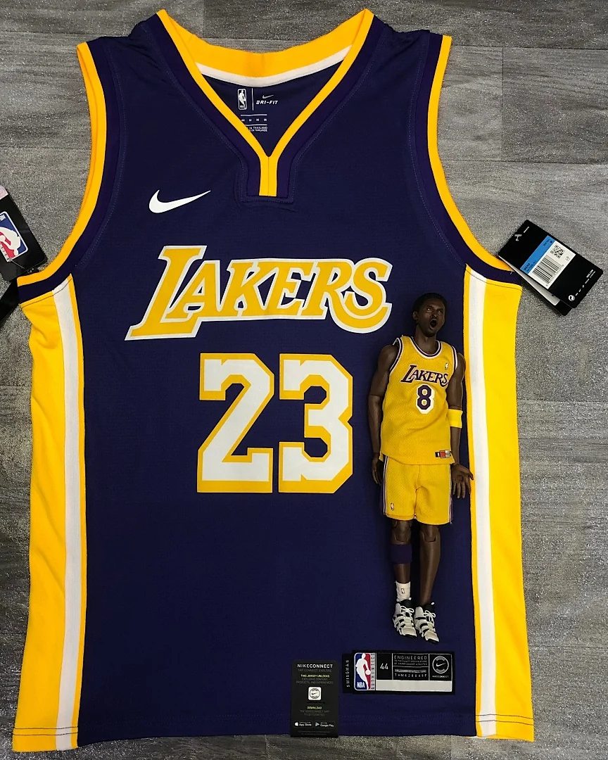 Camisola NBA Los Angeles Lakers LeBron James #23 Roxa