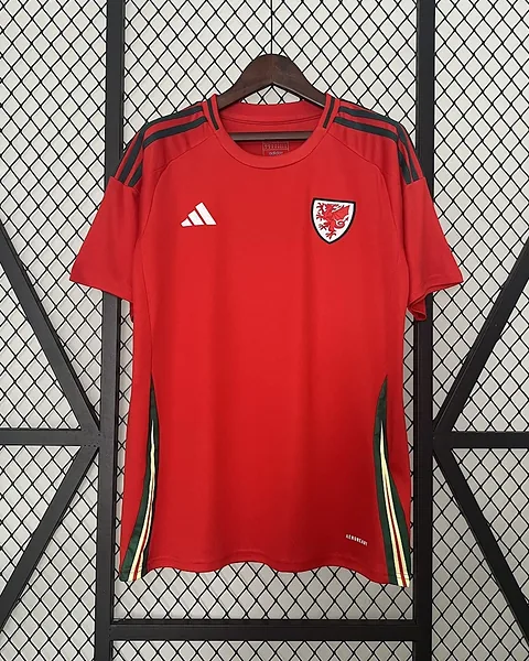 Camisola País de Gales 2024 Principal